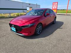 ͣڣģեȥХå ӥץƥ֡ʥӡե륻ţԣáХå 1161121A30251120W005 4