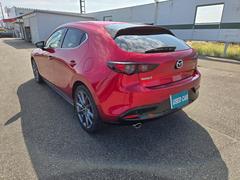 ͣڣģեȥХå ӥץƥ֡ʥӡե륻ţԣáХå 1161121A30251120W005 6