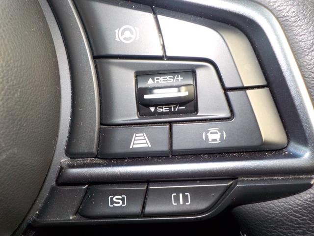 レヴォーグ GT EX 4WD(19枚目)