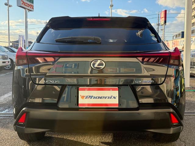 ＵＸ ＵＸ２５０ｈブラウンエディション４ＷＤ　プリクラッシュＳ　４ＷＤ　プリクラッシュＳ　ＬＴＡ　ＢＳＭ　本革シート　レーダークルーズコントロール　パーキングサイドアシスト　ルーフレール　メーカー純正ナビＴＶ　Ｂｌｕｅｔｏｏｔｈ　全方位カメラ　ＥＴＣ　試乗ＯＫ（7枚目）