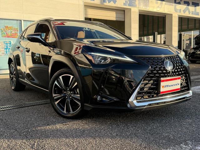 ＵＸ ＵＸ２５０ｈブラウンエディション４ＷＤ　プリクラッシュＳ　４ＷＤ　プリクラッシュＳ　ＬＴＡ　ＢＳＭ　本革シート　レーダークルーズコントロール　パーキングサイドアシスト　ルーフレール　メーカー純正ナビＴＶ　Ｂｌｕｅｔｏｏｔｈ　全方位カメラ　ＥＴＣ　試乗ＯＫ（10枚目）