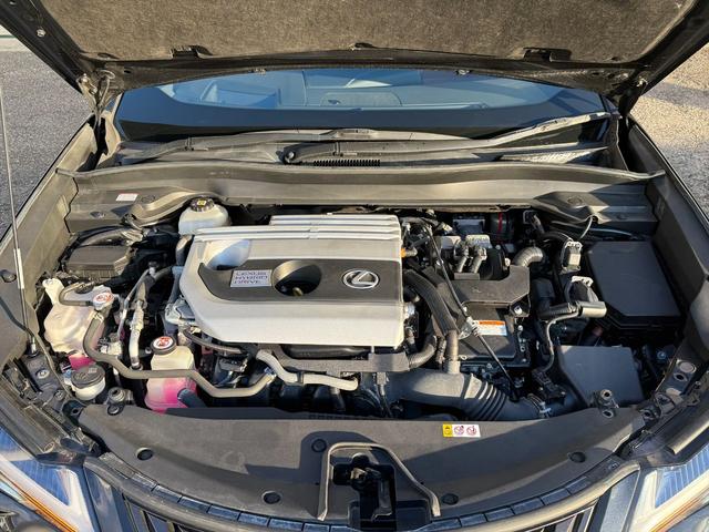 ＵＸ ＵＸ２５０ｈブラウンエディション４ＷＤ　プリクラッシュＳ　４ＷＤ　プリクラッシュＳ　ＬＴＡ　ＢＳＭ　本革シート　レーダークルーズコントロール　パーキングサイドアシスト　ルーフレール　メーカー純正ナビＴＶ　Ｂｌｕｅｔｏｏｔｈ　全方位カメラ　ＥＴＣ　試乗ＯＫ（11枚目）