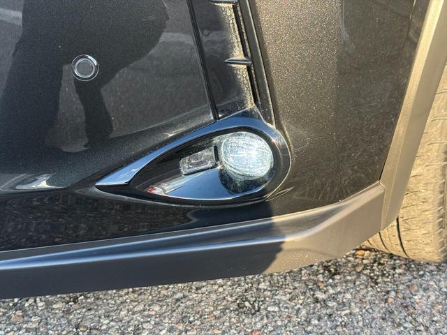 ＵＸ ＵＸ２５０ｈブラウンエディション４ＷＤ　プリクラッシュＳ　４ＷＤ　プリクラッシュＳ　ＬＴＡ　ＢＳＭ　本革シート　レーダークルーズコントロール　パーキングサイドアシスト　ルーフレール　メーカー純正ナビＴＶ　Ｂｌｕｅｔｏｏｔｈ　全方位カメラ　ＥＴＣ　試乗ＯＫ（13枚目）