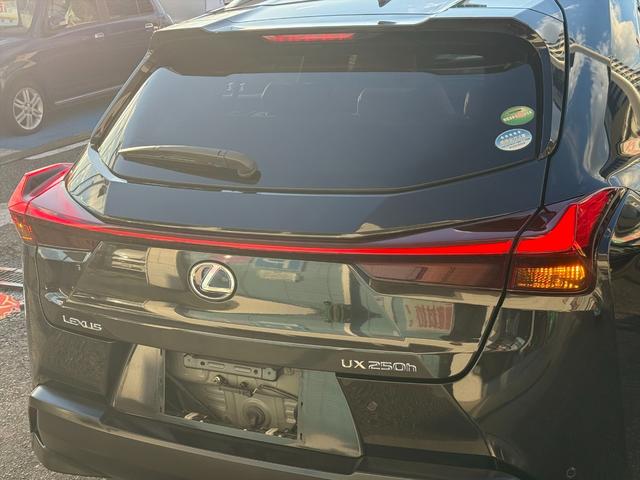 ＵＸ ＵＸ２５０ｈブラウンエディション４ＷＤ　プリクラッシュＳ　４ＷＤ　プリクラッシュＳ　ＬＴＡ　ＢＳＭ　本革シート　レーダークルーズコントロール　パーキングサイドアシスト　ルーフレール　メーカー純正ナビＴＶ　Ｂｌｕｅｔｏｏｔｈ　全方位カメラ　ＥＴＣ　試乗ＯＫ（16枚目）