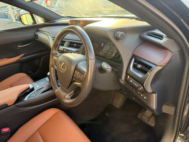 ＵＸ ＵＸ２５０ｈブラウンエディション４ＷＤ　プリクラッシュＳ　４ＷＤ　プリクラッシュＳ　ＬＴＡ　ＢＳＭ　本革シート　レーダークルーズコントロール　パーキングサイドアシスト　ルーフレール　メーカー純正ナビＴＶ　Ｂｌｕｅｔｏｏｔｈ　全方位カメラ　ＥＴＣ　試乗ＯＫ（23枚目）