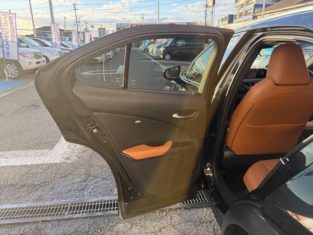 ＵＸ ＵＸ２５０ｈブラウンエディション４ＷＤ　プリクラッシュＳ　４ＷＤ　プリクラッシュＳ　ＬＴＡ　ＢＳＭ　本革シート　レーダークルーズコントロール　パーキングサイドアシスト　ルーフレール　メーカー純正ナビＴＶ　Ｂｌｕｅｔｏｏｔｈ　全方位カメラ　ＥＴＣ　試乗ＯＫ（29枚目）