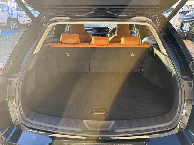 ＵＸ ＵＸ２５０ｈブラウンエディション４ＷＤ　プリクラッシュＳ　４ＷＤ　プリクラッシュＳ　ＬＴＡ　ＢＳＭ　本革シート　レーダークルーズコントロール　パーキングサイドアシスト　ルーフレール　メーカー純正ナビＴＶ　Ｂｌｕｅｔｏｏｔｈ　全方位カメラ　ＥＴＣ　試乗ＯＫ（32枚目）