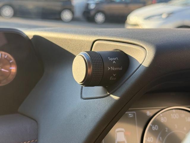 ＵＸ ＵＸ２５０ｈブラウンエディション４ＷＤ　プリクラッシュＳ　４ＷＤ　プリクラッシュＳ　ＬＴＡ　ＢＳＭ　本革シート　レーダークルーズコントロール　パーキングサイドアシスト　ルーフレール　メーカー純正ナビＴＶ　Ｂｌｕｅｔｏｏｔｈ　全方位カメラ　ＥＴＣ　試乗ＯＫ（59枚目）