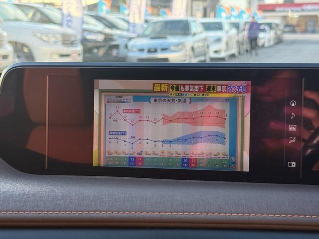 ＵＸ ＵＸ２５０ｈブラウンエディション４ＷＤ　プリクラッシュＳ　４ＷＤ　プリクラッシュＳ　ＬＴＡ　ＢＳＭ　本革シート　レーダークルーズコントロール　パーキングサイドアシスト　ルーフレール　メーカー純正ナビＴＶ　Ｂｌｕｅｔｏｏｔｈ　全方位カメラ　ＥＴＣ　試乗ＯＫ（61枚目）