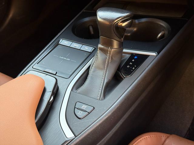 ＵＸ ＵＸ２５０ｈブラウンエディション４ＷＤ　プリクラッシュＳ　４ＷＤ　プリクラッシュＳ　ＬＴＡ　ＢＳＭ　本革シート　レーダークルーズコントロール　パーキングサイドアシスト　ルーフレール　メーカー純正ナビＴＶ　Ｂｌｕｅｔｏｏｔｈ　全方位カメラ　ＥＴＣ　試乗ＯＫ（74枚目）