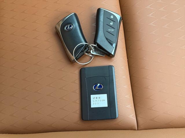 ＵＸ ＵＸ２５０ｈブラウンエディション４ＷＤ　プリクラッシュＳ　４ＷＤ　プリクラッシュＳ　ＬＴＡ　ＢＳＭ　本革シート　レーダークルーズコントロール　パーキングサイドアシスト　ルーフレール　メーカー純正ナビＴＶ　Ｂｌｕｅｔｏｏｔｈ　全方位カメラ　ＥＴＣ　試乗ＯＫ（77枚目）