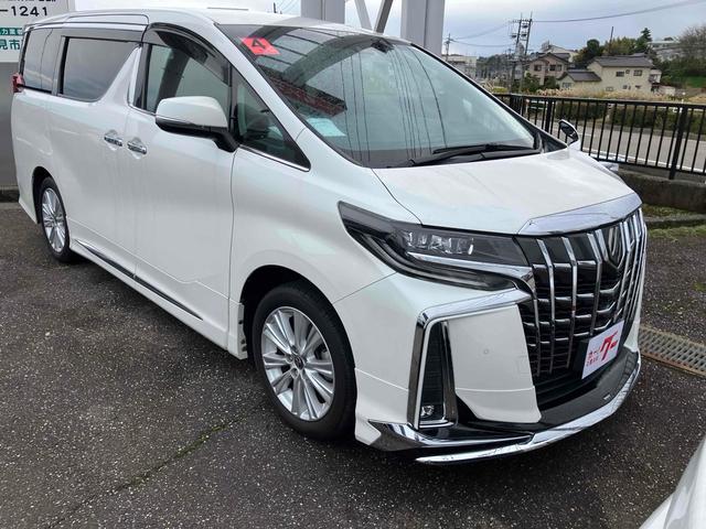 アルファード ２．５Ｓ　ＥＴＣ　バックカメラ　ナビ　クリアランスソナー　オートクルーズコントロール　レーンアシスト　衝突被害軽減システム　両側スライドドア　オートマチックハイビーム　オートライト　ＬＥＤヘッドランプ（48枚目）