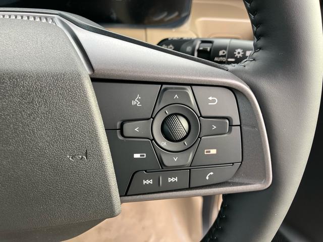 デリカミニ Ｇ　プレミアム　デリマルパッケージ（39枚目）