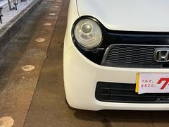 ΡݣϣΣ ĥ顼̥ѥå꡼ʥӡե륻£ 1161231A30251101W002 4