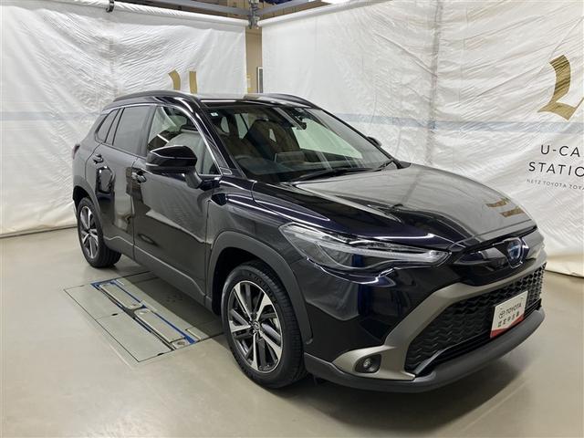 �L�X�Ƃ����ԓ���ԂɗD�ꂽ�R��\�B�X�Ƀf�U�C�����㎿�Ől�C�̂��Ԃł��I