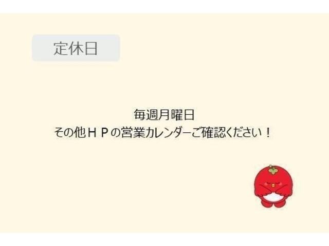 プロボックス ハイブリッドGX 衝突被害軽減システム(38枚目)