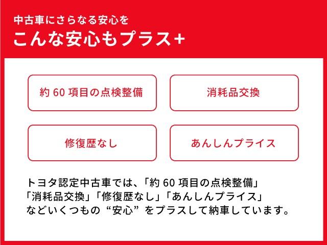 プレミアム　フルセグ　メモリーナビ　ＤＶＤ再生　バックモニター　サポカーＳ　ＥＴＣ　ドラレコ　ＬＥＤヘッドランプ　アイドリングストップ　クルーズコントロール　純正アルミ　パワーシート　合成皮革シート　先進ライト(49枚目)