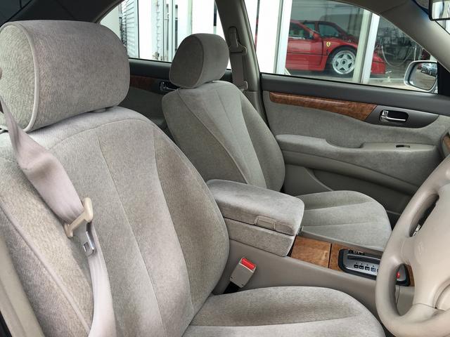 250L NAVIエディション(11枚目)