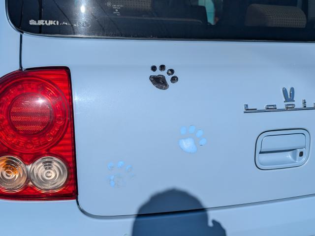 アルトラパン リミテッド(11枚目)