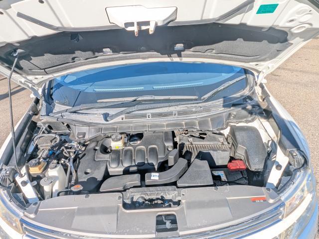 �G���W���A�~�b�V�������q�ǍD�I