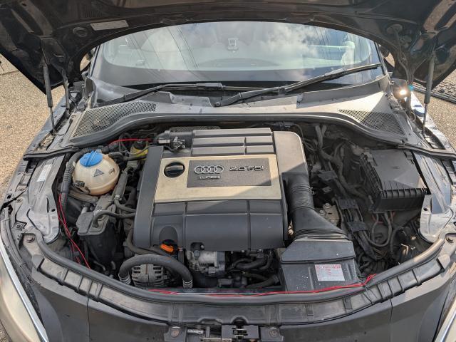 �G���W���A�~�b�V�������q�ǍD�I