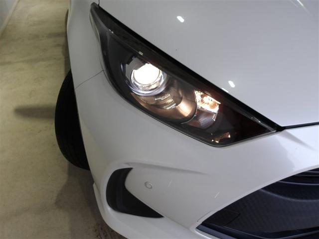 �F�������D�����n���Q���w�b�h���C�g�ł��B