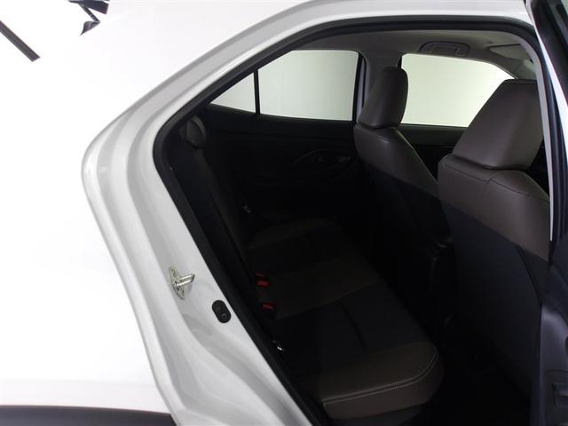 ���A�V�[�g�͑����͍L�X�Ƃ��Ă���A������芰���܂��B