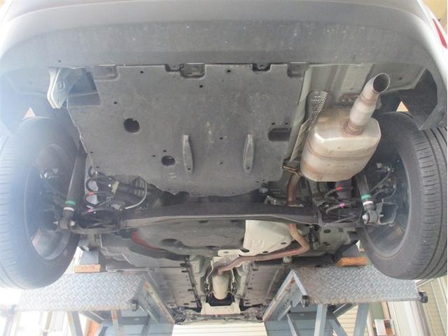 �����_�����s���Ă���܂��B