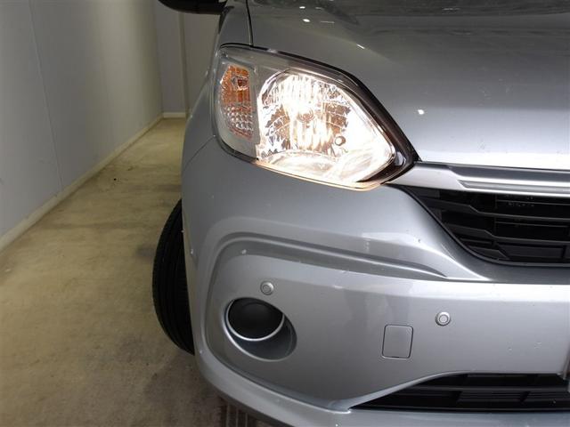 �F�������D�����n���Q���w�b�h���C�g�ł��B