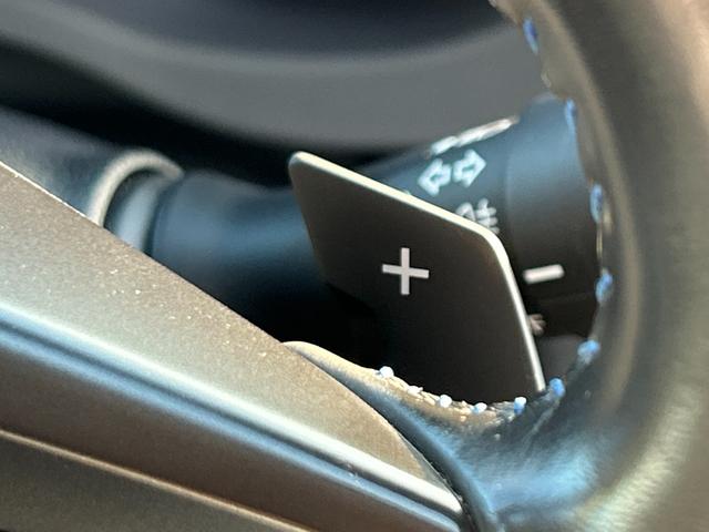 レヴォーグ １．６ＧＴ－Ｓアイサイト　フルセグメモリーナビ　バックカメラ　スマートキー　衝突軽減ブレーキ　メモリ付パワーシート　オートライト　オートエアコン　ＡＣＣ　ヘッドライトウォッシャー　フォグライト前後　純正ＡＷ　３６０°ドラレコ（34枚目）