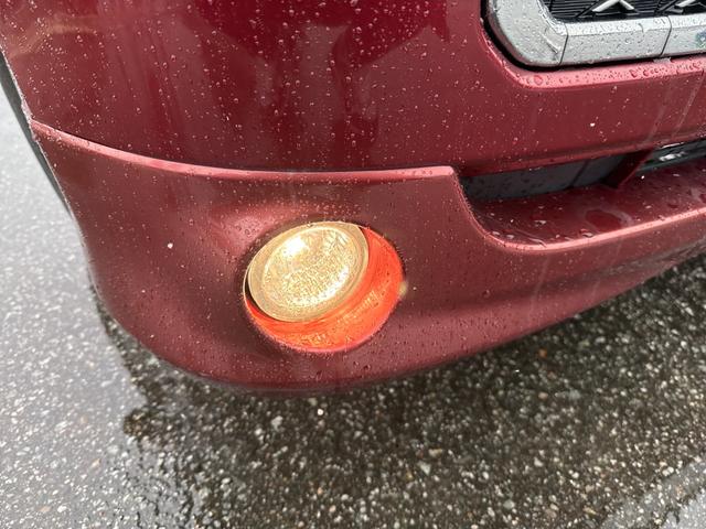 �t�H�O���C�g�����ڂ���Ă��܂��B���V�󎞂̎��E�̊m�ۂɖ𗧂��܂��B