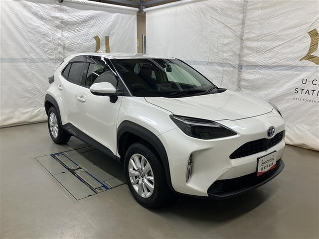 �L�X�Ƃ����ԓ���ԂɗD�ꂽ�R��\�B�X�Ƀf�U�C�����㎿�Ől�C�̂��Ԃł��I