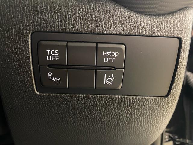 ＣＸ－３ ＸＤ　ツーリング　Ｌパッケージ　純正ナビ・ＴＶ　Ｂカメ　ＥＴＣ　ドラレコ（31枚目）