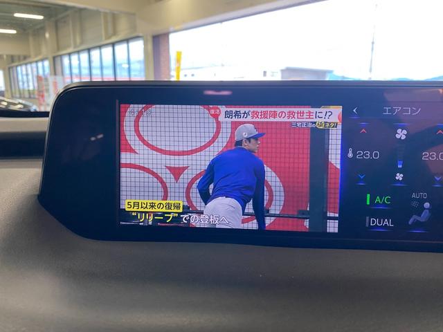 ＵＸ ＵＸ２００　Ｆスポーツ　純正ナビ・ＴＶ　ドラレコ　ＥＴＣ　全周囲カメラ（17枚目）