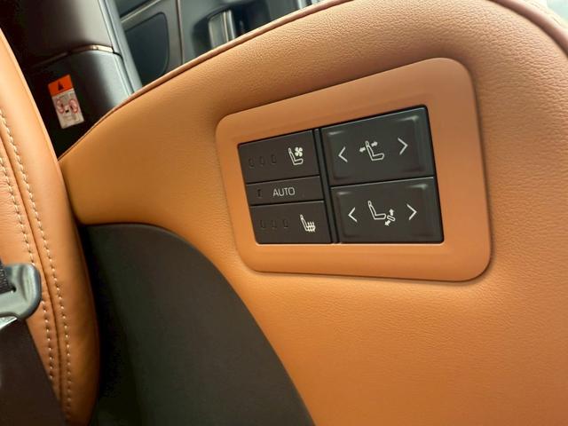 ヴェルファイア Z プレミア 13.2インチディスプレイオーディオ 全周囲カメラ ユニバーサルステップ フロアマット クリアランスソナー オートクルーズ 衝突被害軽減システム LEDヘッドランプ サンルーフ 電動リアゲート(31枚目)