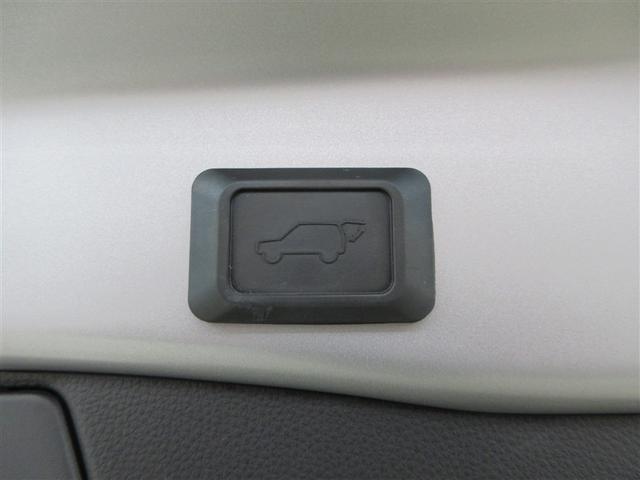 ＲＡＶ４ Ｇ（33枚目）