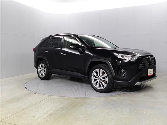 ＲＡＶ４ Ｇ　Ｚパッケージ　インテリジェントクリアランスソナー　ＡＷＤ　ＬＥＤライト　アルミホイル　オートクルーズ　横滑り防止装置　バックガイドモニター　盗難防止装置　デュアルエアバッグ　メモリナビ　キーレス　パワーシート（8枚目）