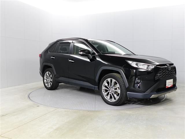 ＲＡＶ４ Ｇ　Ｚパッケージ　インテリジェントクリアランスソナー　ＡＷＤ　ＬＥＤライト　アルミホイル　オートクルーズ　横滑り防止装置　バックガイドモニター　盗難防止装置　デュアルエアバッグ　メモリナビ　キーレス　パワーシート（8枚目）