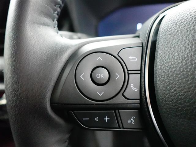 ＲＡＶ４ Ｇ　Ｚパッケージ　インテリジェントクリアランスソナー　ＡＷＤ　ＬＥＤライト　アルミホイル　オートクルーズ　横滑り防止装置　バックガイドモニター　盗難防止装置　デュアルエアバッグ　メモリナビ　キーレス　パワーシート（20枚目）