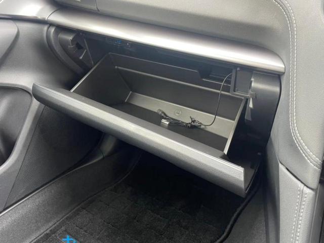 ＸＶ ４ＷＤ２．０ｅ－Ｌアイサイトスマートエディション　保証書／純正　８インチ　ＳＤナビ／アイサイトＸ（スバル新型）／車線逸脱防止支援システム／シート　ハーフレザー／パーキングアシスト　バックガイド／ヘッドランプ　ＬＥＤ　衝突被害軽減システム　バックカメラ（35枚目）