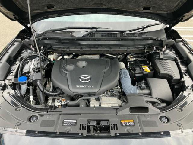 CX-5 XDスマートエディション 保証書/純正 SDナビ/衝突安全装置/車線逸脱防止支援システム/ヘッドランプ LED/ETC/EBD付ABS/横滑り防止装置/アイドリングストップ/クルーズコントロール/サイドモニター バックカメラ(51枚目)