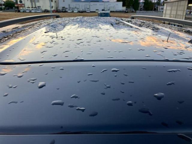 デリカミニ 4WD Tプレミアム 保証書/社外 SDナビ/イーアシスト(ミツビシ)/両側電動スライドドア/シートヒーター 前席/全方位モニター/車線逸脱防止支援システム/シート ハーフレザー/ドライブレコーダー 社外 ターボ 4WD(51枚目)