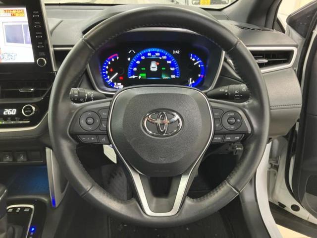 �v�d�b�`�q�r�̓W����ł͎��ۂɌ��āA�G���Ă��Ԃ����I�т��������܂��I�m���̖L�x�ȉc�ƃX�^�b�t���l�X�ȃJ�[���C�t������Ă������܂��I