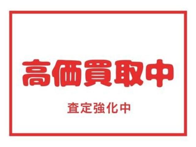 G・ホンダセンシング 前後ドラレコ 弊社業務車 セキュリティ 両側パワ-スライドドア 三列シート ナビTV キーレスエントリ AC DVD再生機能 地デジ Wエアバック ETC CD再生 PS メモリナビ ABS 横滑抑制(46枚目)