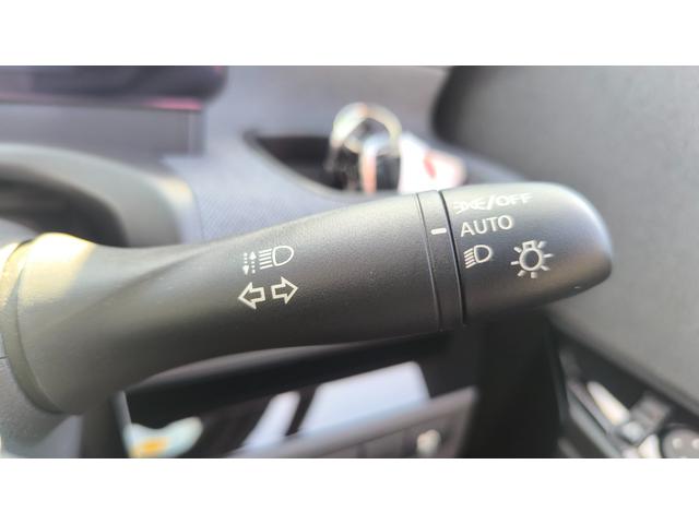 サクラ Ｘ　電気自動車　インテリジェントエマージェンシーブレーキ　標準ディスプレイオーディオ　ＥＴＣ装備　アラウンドビューモニター（30枚目）
