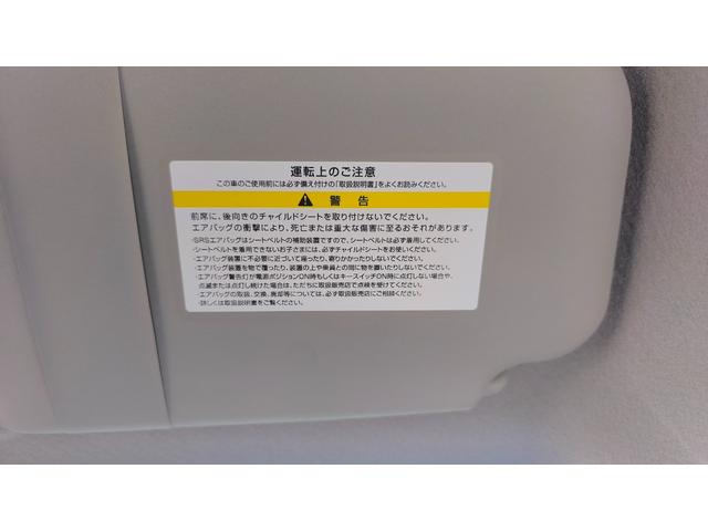 サクラ Ｘ　電気自動車　インテリジェントエマージェンシーブレーキ　標準ディスプレイオーディオ　ＥＴＣ装備　アラウンドビューモニター（45枚目）