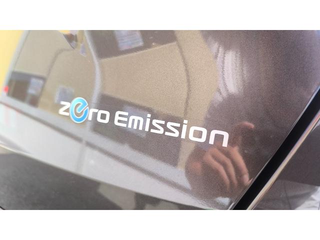 サクラ Ｘ　電気自動車　インテリジェントエマージェンシーブレーキ　標準ディスプレイオーディオ　ＥＴＣ装備　アラウンドビューモニター（55枚目）