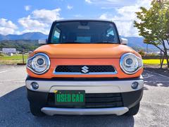 ϥ顼ˤޤʥӡƥӡХå˥ţԣáͷڸ֥졼դǤ 2