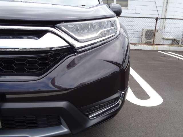 EX・マスターピース 当社デモカー 電動リアゲート(7枚目)