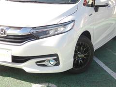 ȥ ϥ֥åɣءڸ֥졼ϡե쥶ȡʥӡԣ 1200202A30251106W003 3